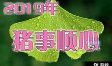 猪年短信祝福语2019