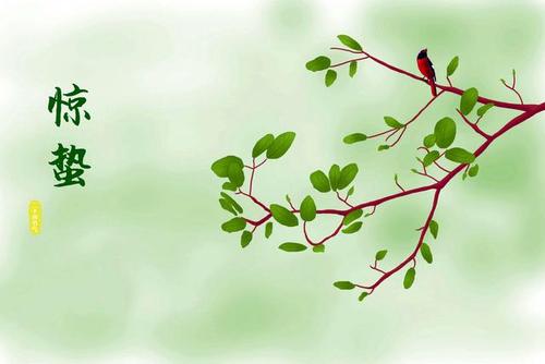 令人吃惊的箴言