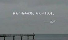 抖音上深情的句子