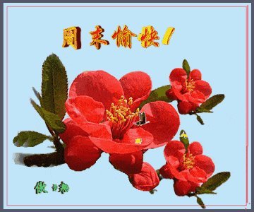 描述快乐周末的句子