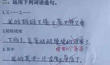 不是不是而是造句大全