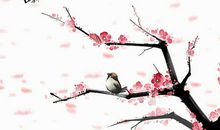 24节气谚语惊蛰