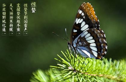 令人震惊的谚语