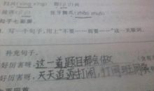 不是而是关联词造句大全