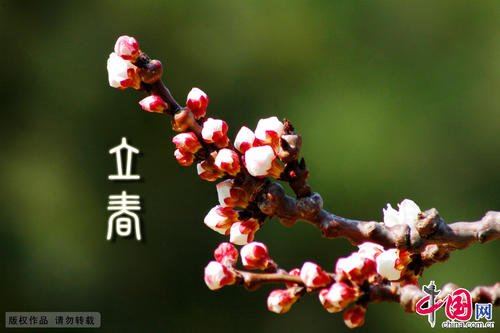 春天的祝福的开始