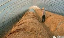 关于小寒的农事谚语