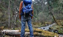 人生所有的泥泞，要靠自己去趟