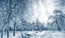 描写初冬景色的句子