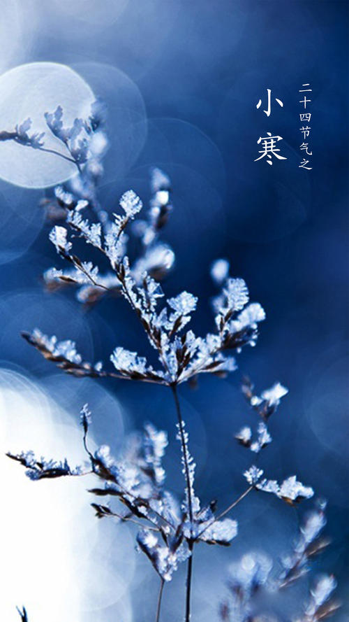 二十四节气小涵谚语