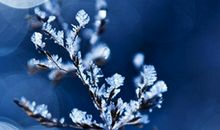 二十四节气小寒谚语