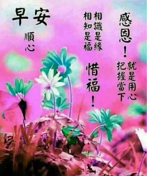 QQ群的祝福