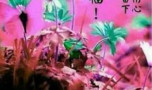 qq群里的祝福语