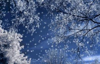 谈论朋友的下雪圈