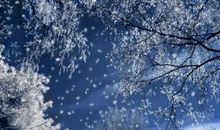 下雪的朋友圈说说