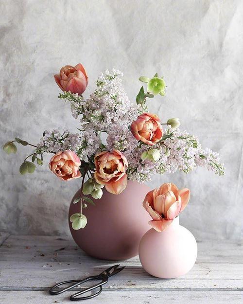 真诚的新年问候