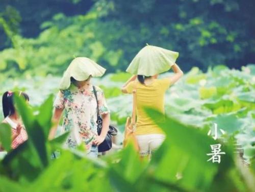 伟大的夏天谚语