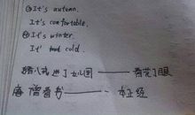 关于猪八戒歇后语