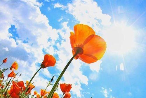 充满活力的早上聊天