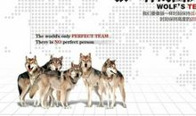 关于狼的销售口号