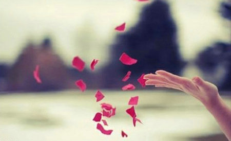 人生中最难得的事情就是放手，放开不爱你的人，放开不快乐的事情，放开不属于你的名利双收1