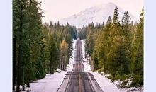 描写周末的短句