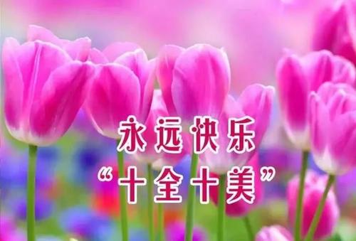 祝福别人的职业