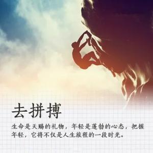 漂亮的句子描述理想