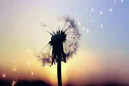 生活实际上是一种精神状态，不要让自己沉迷于沉迷1