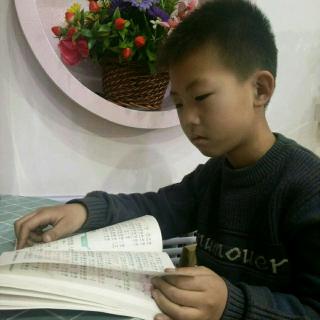 鹅写拟人化的句子