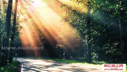 句子让你感觉更好