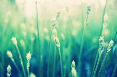 九月初九的祝福