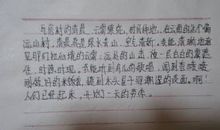 描写晨练的优美句子