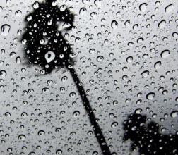 在下雨天谈论美丽的句子