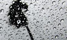 雨天说说唯美句子