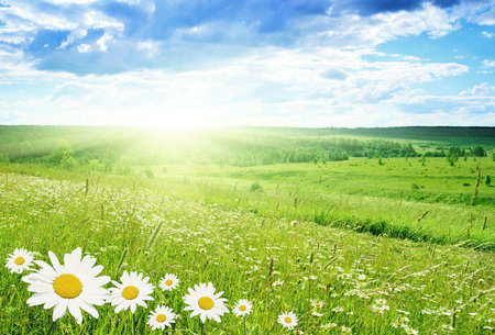 面对生活中的各种麻烦，乐观地面对一切都会带来幸福1