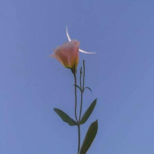 无所畏惧的经典句子