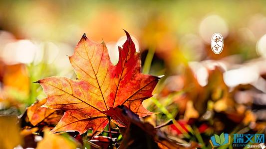 关于秋天的祝福