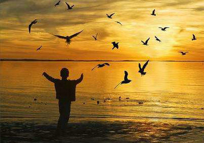 内心平静美丽的句子[精选45句] 1