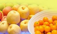 爱惜粮食的名人名言