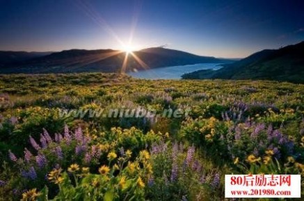 描述自然风光的句子