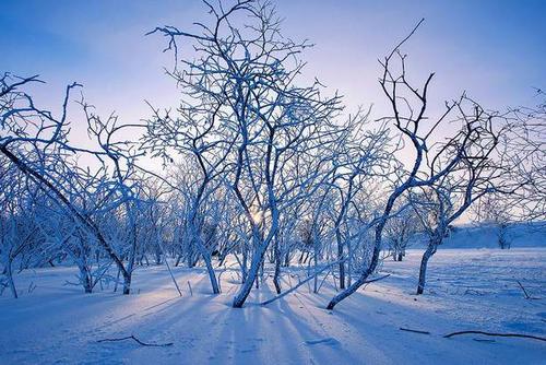 好的冬季句子是什么