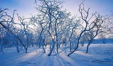 冬天好句有哪些