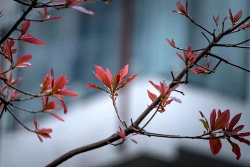 表达时间流逝的诗