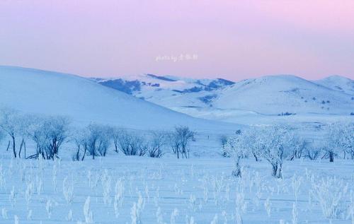 冬季句子更短更美丽