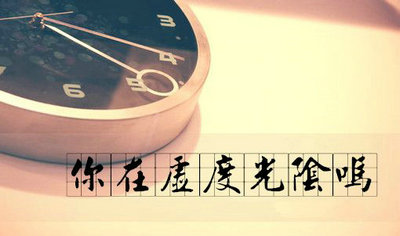 关于浪费时间的审美句子