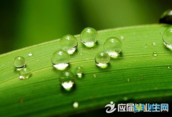 形容小路主的句子