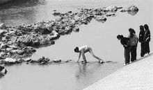 担着胡子过河歇后语