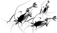 虾子过河歇后语