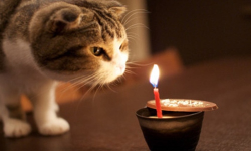 简短而隐含地表达您的生日