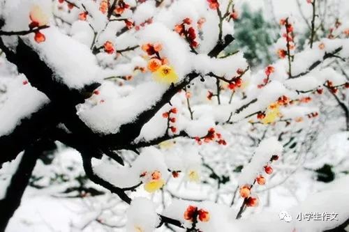 雪造拟人化的句子